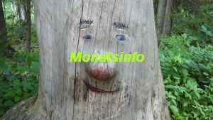 Monatsinfo